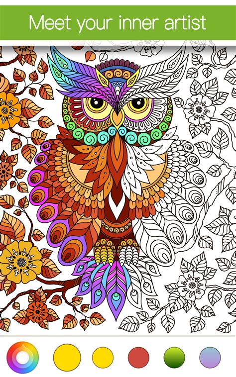 Adult coloring app - The Best Free Android Coloring Apps for Adults are Color Planet, Color Me- Adults Coloring Book, Recolor- Anti-Stress Coloring, and Colorify.
